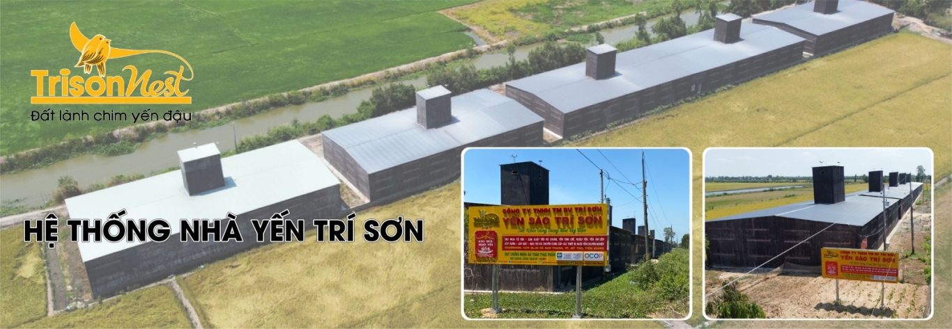 Hệ thống nhà yến số 5