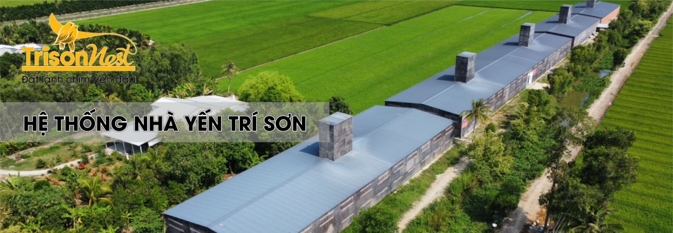 Hệ thống nhà yến số 6