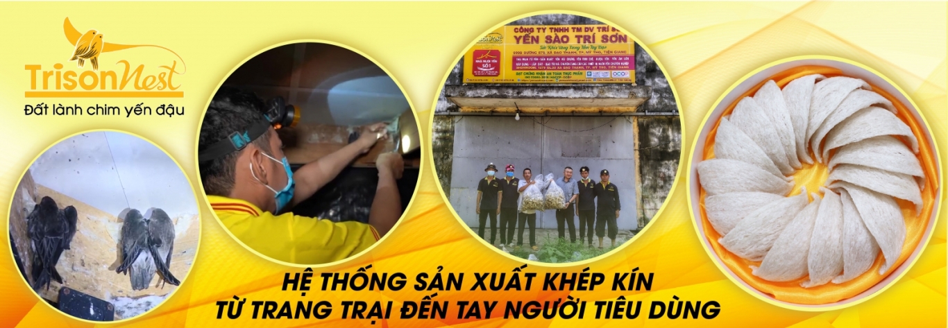 Hệ thống sản xuất khép kín