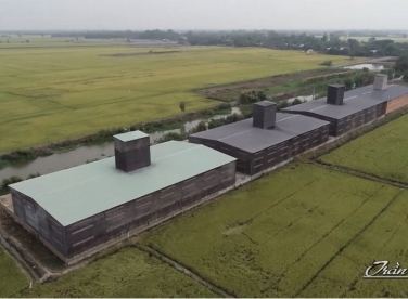 Một số kinh nghiệm dẫn dụ chim yến