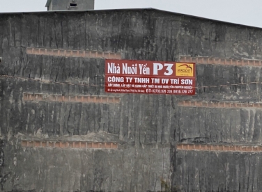 Nhà Yến Anh Phong 3 - Long An