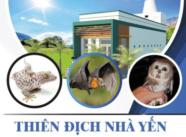 Thiên địch của chim yến và bí quyết phòng chống các thiên địch