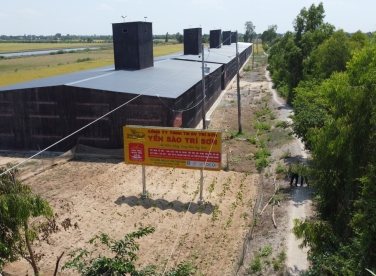 Để Xây Dựng Nhà  Nuôi Chim Yến Tốt Nhất, Bạn Nên Làm Gì?
