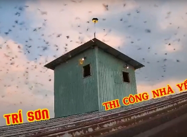 THI CÔNG NHÀ YẾN CẤP 4