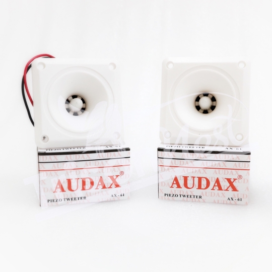LOA CHUYÊN DỤNG AX61 - W (có dây)