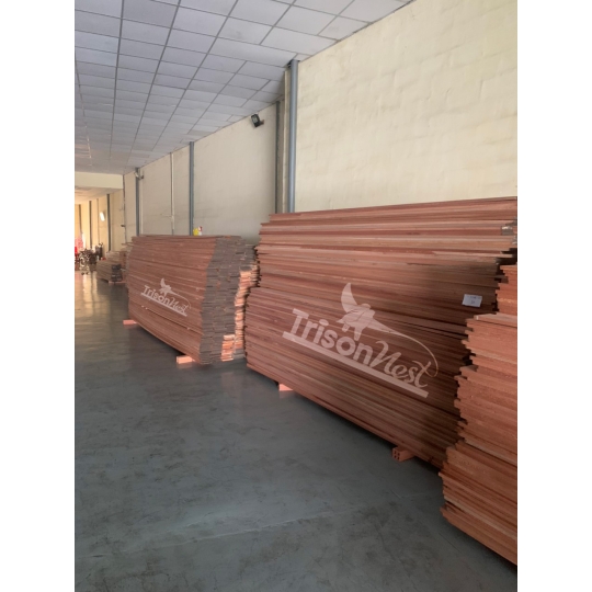 Gỗ Meranti đặc biệt
