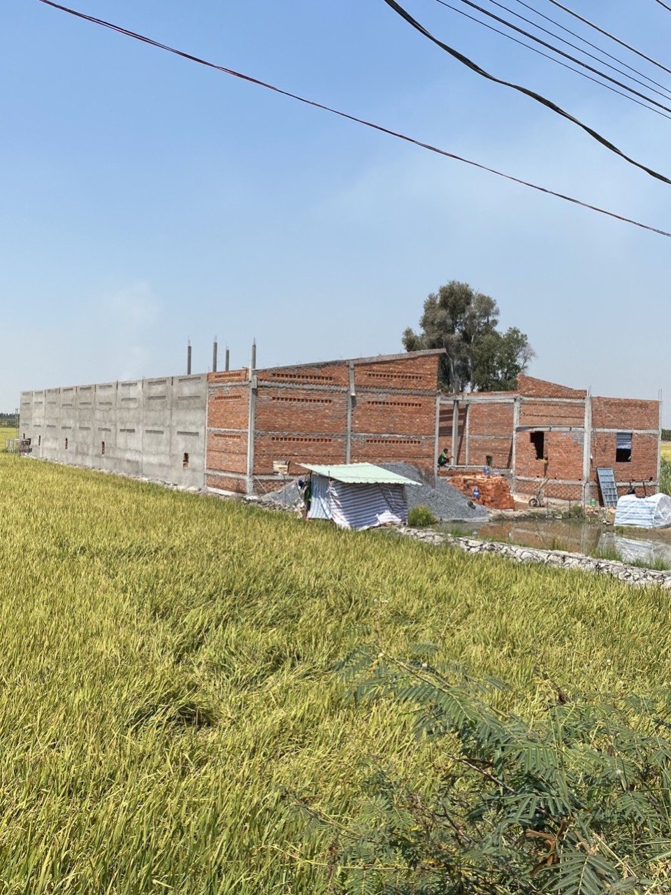 Nhà Yến Anh Phong 1 - Long An